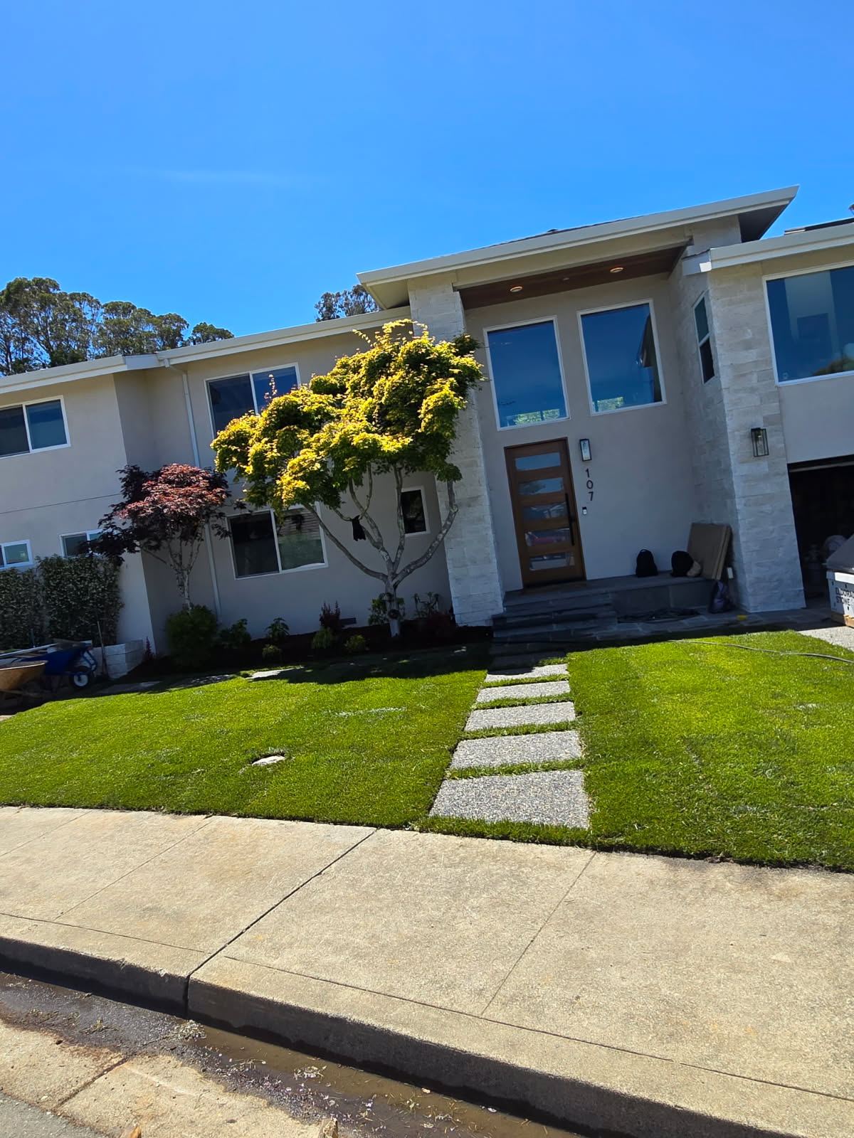 Front yard turf and landscaping