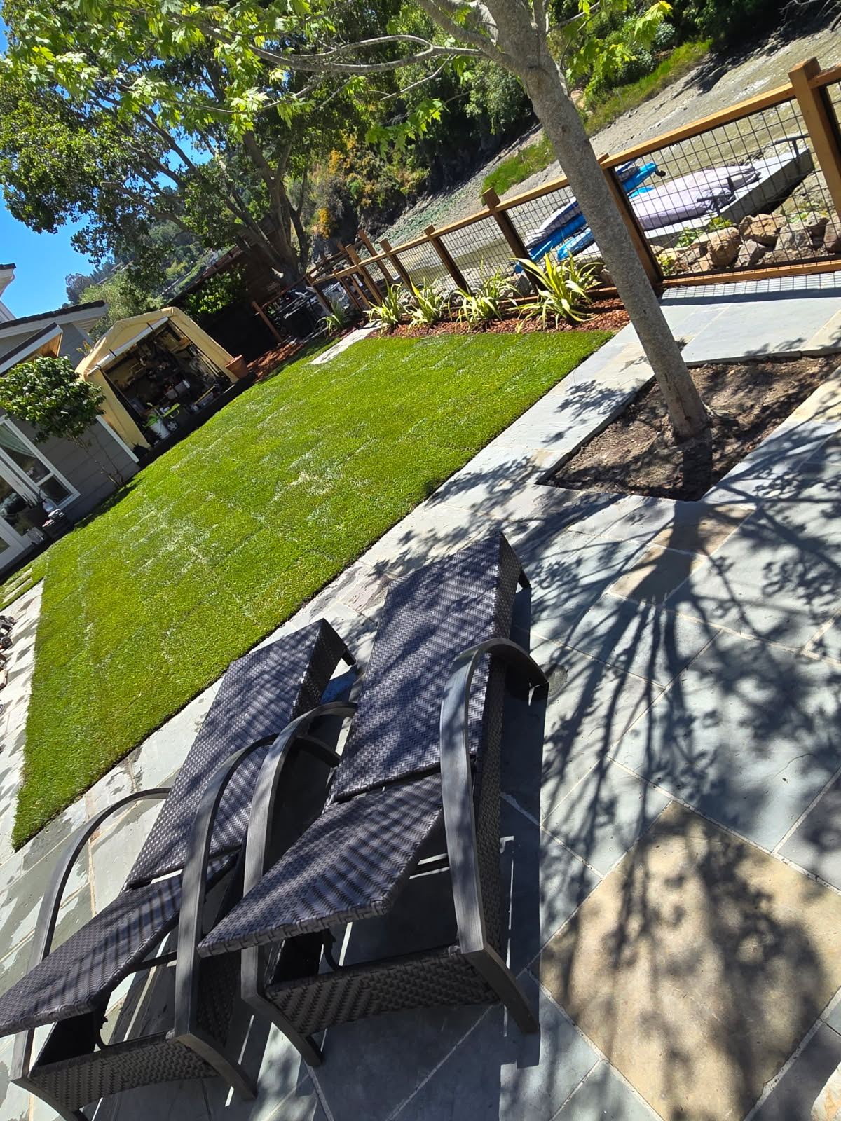 Backyard patio and turf