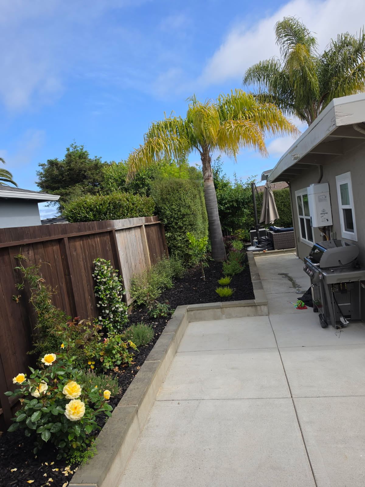 Backyard patio and garden bed